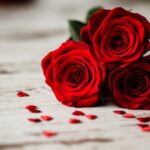 SIGNIFICANCE OF VARIOUS FLOWERS ON VALENTINE’S DAY